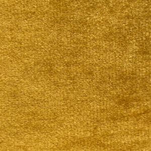 Color swatch image